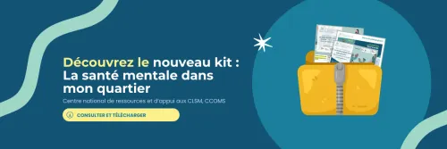 banni&egrave;re lancement kit LSMDMQ